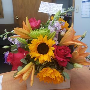 Meet your Posher, Brenda